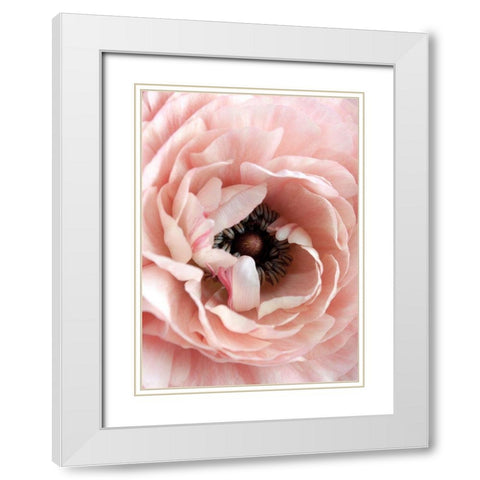 Flower White Modern Wood Framed Art Print with Double Matting by Design Fabrikken