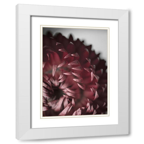 Dahlia White Modern Wood Framed Art Print with Double Matting by Design Fabrikken