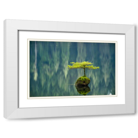 Fairy Lake Bonsai White Modern Wood Framed Art Print with Double Matting by Oldford, Tim