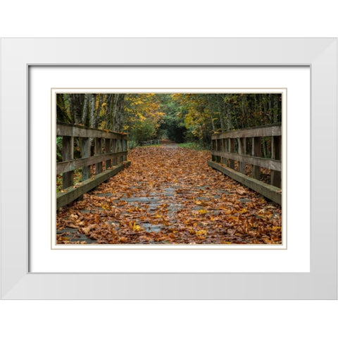 Fall on the Goose (Victoria) White Modern Wood Framed Art Print with Double Matting by Oldford, Tim