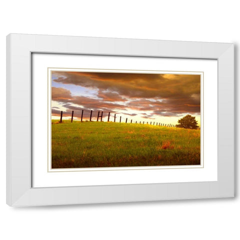 Fenceline, South Dakota White Modern Wood Framed Art Print with Double Matting by ODell, Dale
