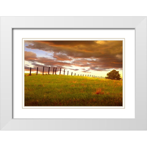 Fenceline, South Dakota White Modern Wood Framed Art Print with Double Matting by ODell, Dale