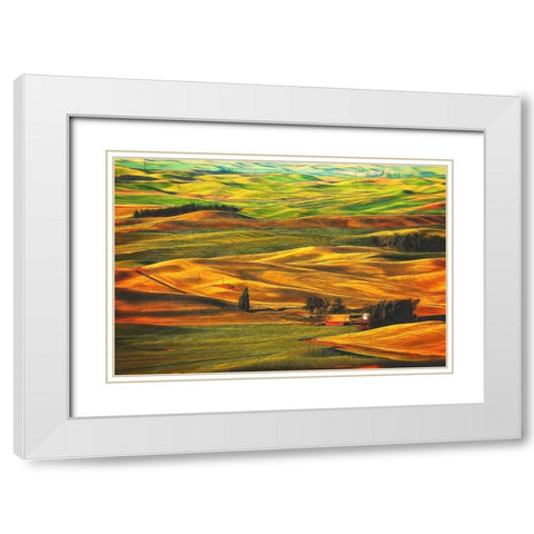 Palouse #22 White Modern Wood Framed Art Print with Double Matting by ODell, Dale