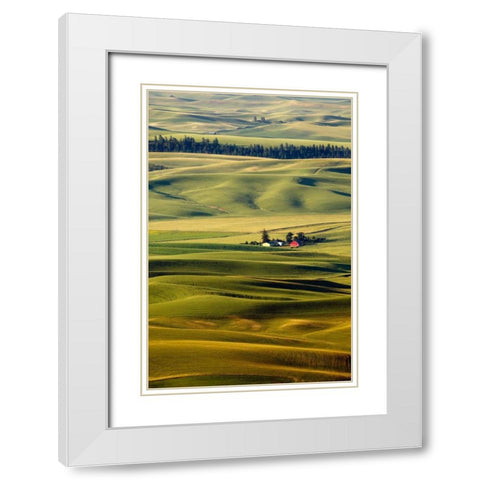 Palouse #27 White Modern Wood Framed Art Print with Double Matting by ODell, Dale