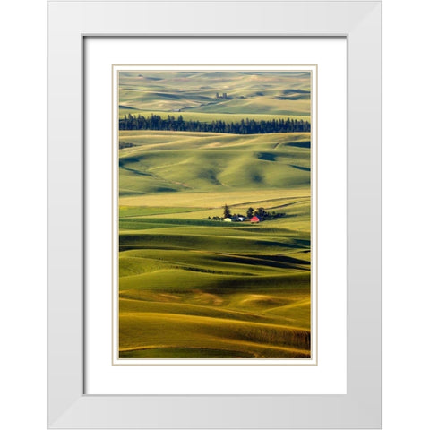 Palouse #27 White Modern Wood Framed Art Print with Double Matting by ODell, Dale