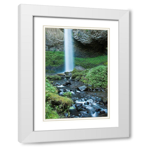 Oregon Waterfall White Modern Wood Framed Art Print with Double Matting by Oldford, Tim