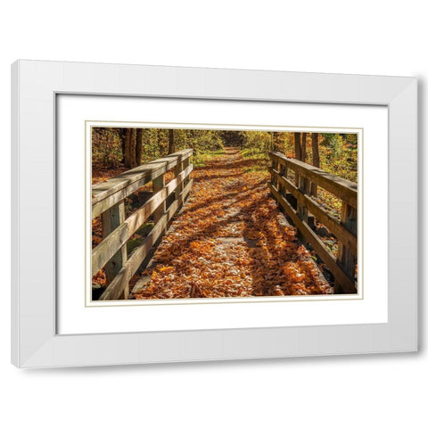 Fall On The Footbridge White Modern Wood Framed Art Print with Double Matting by Oldford, Tim