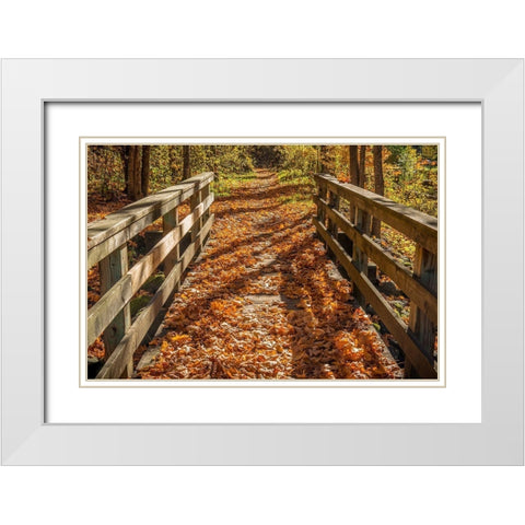 Fall On The Footbridge White Modern Wood Framed Art Print with Double Matting by Oldford, Tim