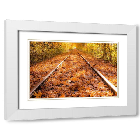 Train Tracks in The Fall White Modern Wood Framed Art Print with Double Matting by Oldford, Tim