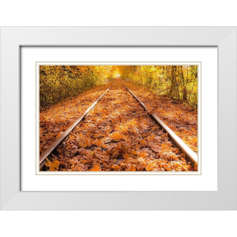 Train Tracks in The Fall White Modern Wood Framed Art Print with Double Matting by Oldford, Tim