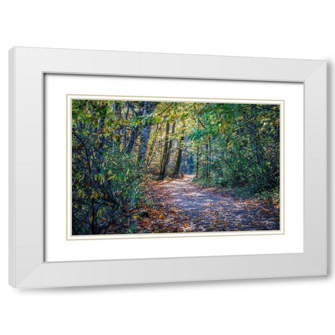 Fall Colours White Modern Wood Framed Art Print with Double Matting by Oldford, Tim