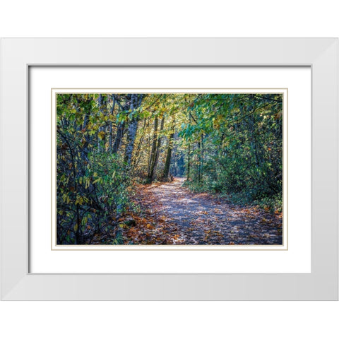 Fall Colours White Modern Wood Framed Art Print with Double Matting by Oldford, Tim