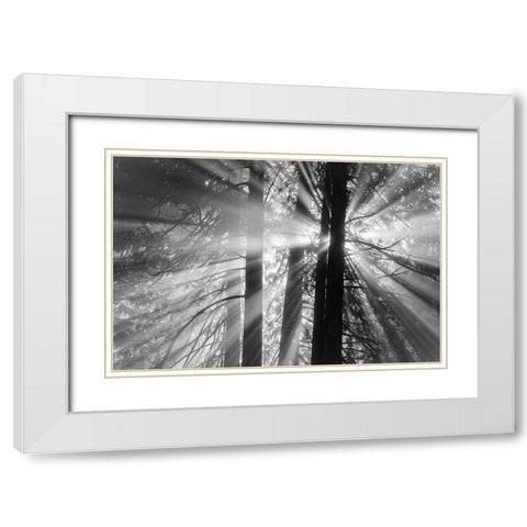 Rays White Modern Wood Framed Art Print with Double Matting by Oldford, Tim