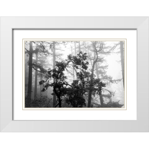 Foggy Trees White Modern Wood Framed Art Print with Double Matting by Oldford, Tim