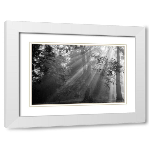 In a Haze White Modern Wood Framed Art Print with Double Matting by Oldford, Tim