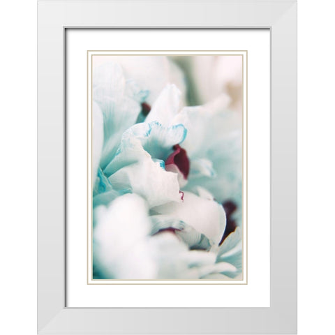 Paris Petals 2 White Modern Wood Framed Art Print with Double Matting by Okula, Carina
