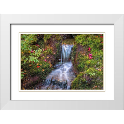 Tranquility Falls White Modern Wood Framed Art Print with Double Matting by Oldford, Tim
