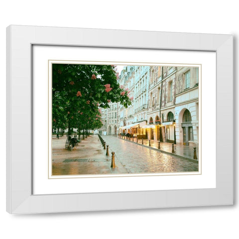 Paris in Chesnut Blossom Pink White Modern Wood Framed Art Print with Double Matting by Okula, Carina