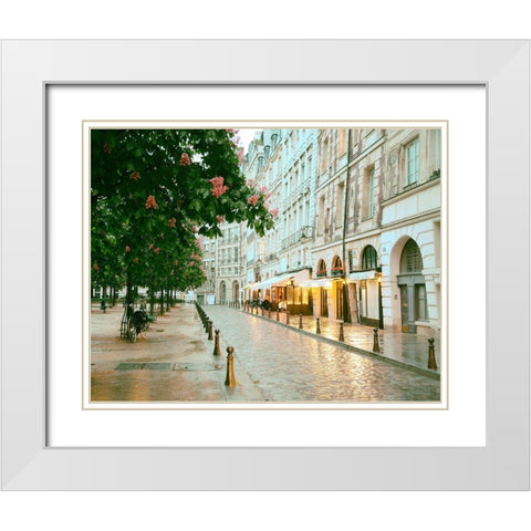Paris in Chesnut Blossom Pink White Modern Wood Framed Art Print with Double Matting by Okula, Carina