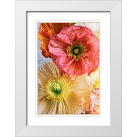 Spring Poppies White Modern Wood Framed Art Print with Double Matting by Okula, Carina
