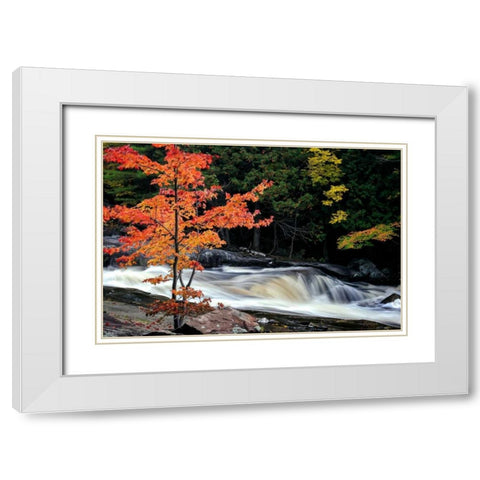 Autumn, Lower Rosseau Falls White Modern Wood Framed Art Print with Double Matting by Pollard, David W.