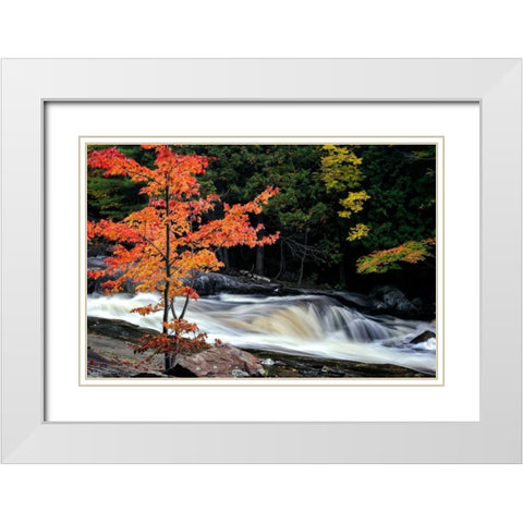 Autumn, Lower Rosseau Falls White Modern Wood Framed Art Print with Double Matting by Pollard, David W.