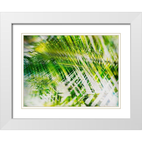 Evergreen No. 11 White Modern Wood Framed Art Print with Double Matting by Pfrommer, Sven
