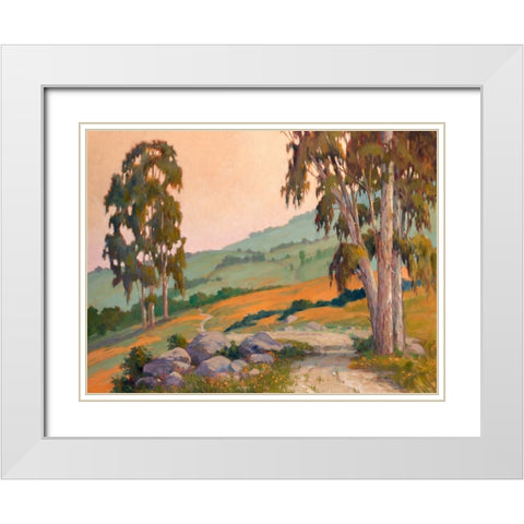 Poppy Hill Path White Modern Wood Framed Art Print with Double Matting by Penniman, Ed