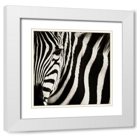 Camouflage I White Modern Wood Framed Art Print with Double Matting by Parker, Susann