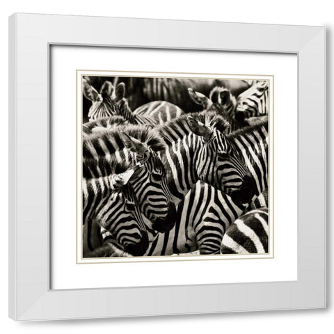 Camouflage II White Modern Wood Framed Art Print with Double Matting by Parker, Susann