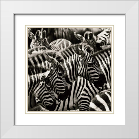 Camouflage II White Modern Wood Framed Art Print with Double Matting by Parker, Susann
