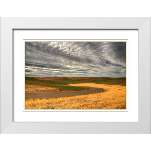 Yin Yang White Modern Wood Framed Art Print with Double Matting by Patch, Dan