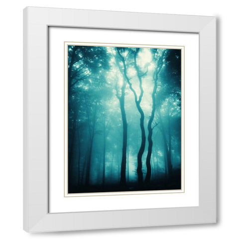 Blue Light Woods White Modern Wood Framed Art Print with Double Matting by PhotoINC Studio