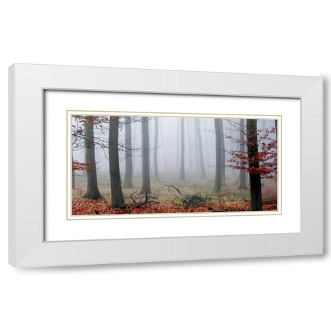Misty Woods White Modern Wood Framed Art Print with Double Matting by PhotoINC Studio