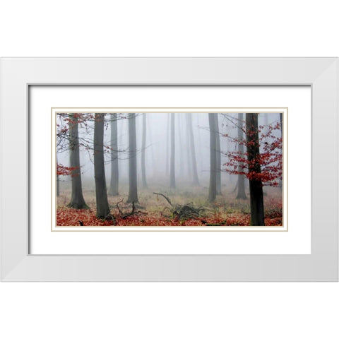 Misty Woods White Modern Wood Framed Art Print with Double Matting by PhotoINC Studio