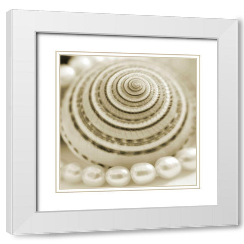 Shells and Pearls 1 White Modern Wood Framed Art Print with Double Matting by PhotoINC Studio