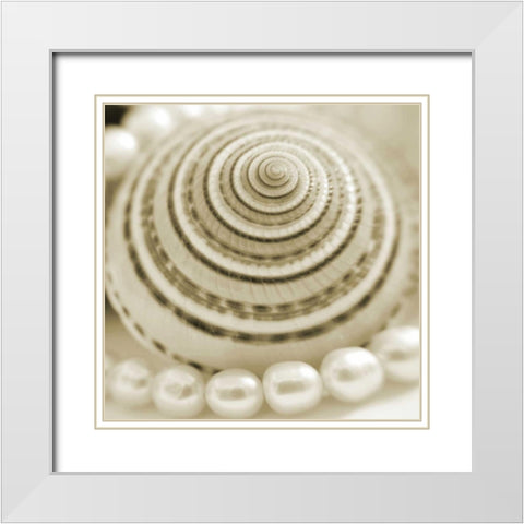Shells and Pearls 1 White Modern Wood Framed Art Print with Double Matting by PhotoINC Studio