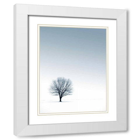 Tree in Winterscape White Modern Wood Framed Art Print with Double Matting by PhotoINC Studio
