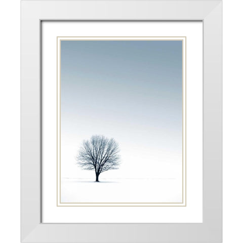 Tree in Winterscape White Modern Wood Framed Art Print with Double Matting by PhotoINC Studio
