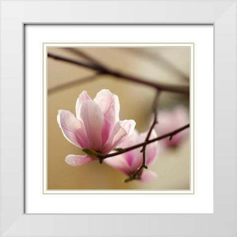 Tulip Tree 1 White Modern Wood Framed Art Print with Double Matting by PhotoINC Studio
