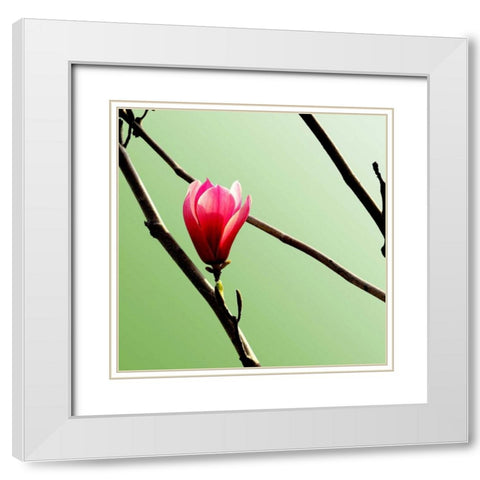 Tulip Tree 3 White Modern Wood Framed Art Print with Double Matting by PhotoINC Studio