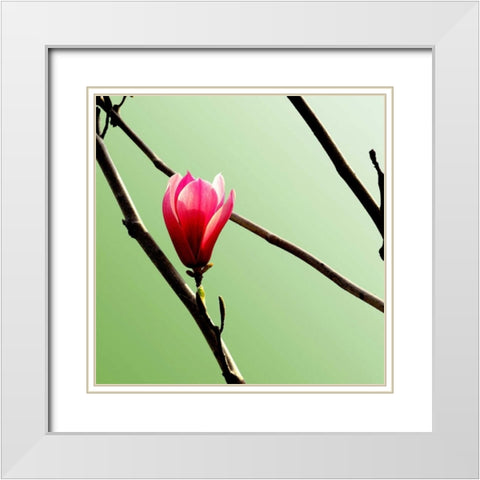 Tulip Tree 3 White Modern Wood Framed Art Print with Double Matting by PhotoINC Studio