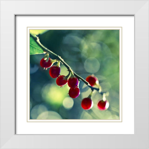 Luscious White Modern Wood Framed Art Print with Double Matting by Price, Melanie Alexandra