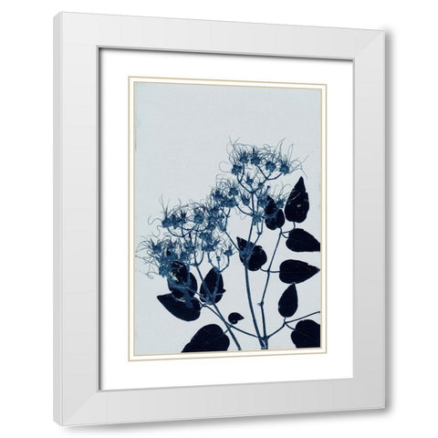 Clematis 1 Blue White Modern Wood Framed Art Print with Double Matting by Folcarelli, Pernille