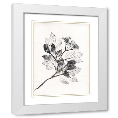 Elder BW White Modern Wood Framed Art Print with Double Matting by Folcarelli, Pernille