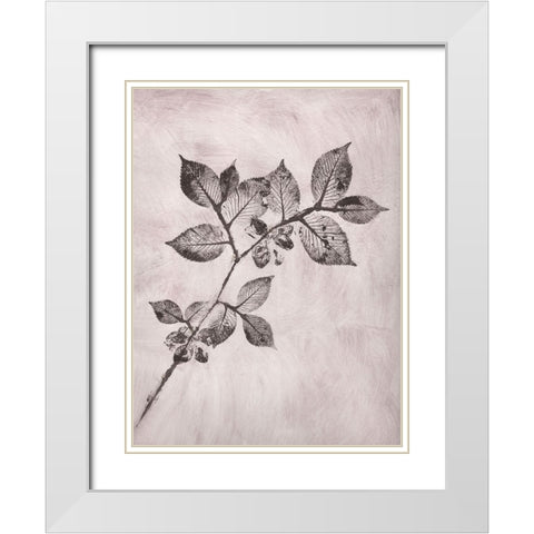 Elm 1 Brown White Modern Wood Framed Art Print with Double Matting by Folcarelli, Pernille