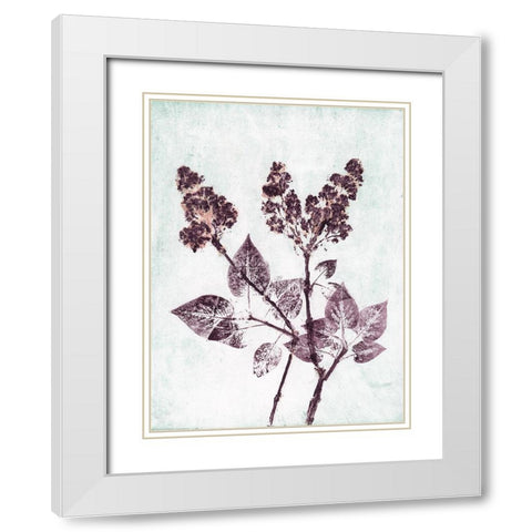 Lilac 1 Aqua Plum White Modern Wood Framed Art Print with Double Matting by Folcarelli, Pernille