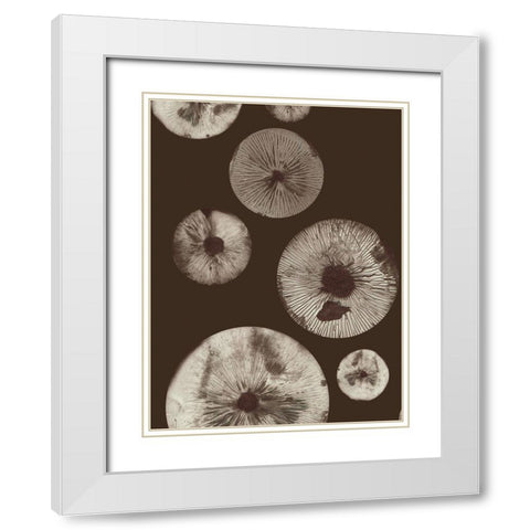 Mushroom 5 Dark Brown White Modern Wood Framed Art Print with Double Matting by Folcarelli, Pernille