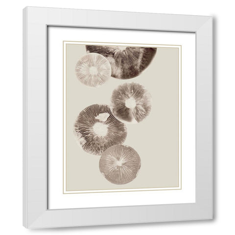 Mushroom 6 Light Brown White Modern Wood Framed Art Print with Double Matting by Folcarelli, Pernille