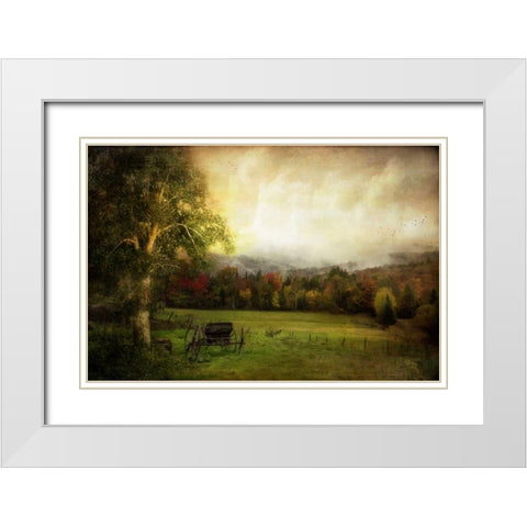 Abandoned Wagon White Modern Wood Framed Art Print with Double Matting by Rivera, John
